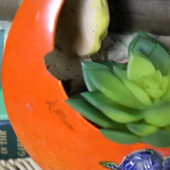 Curated Home Decor Vintage Pottery Wall Hanging Parrot Planter Vintage + Antique