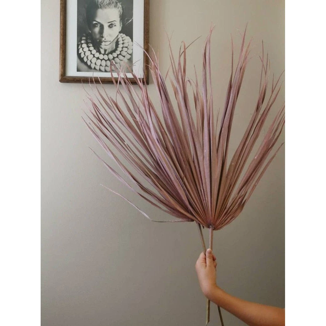 Pavot Blue Interiors Dried Frosted Pink Palm Botanicals + Outdoor 3 Pavot Blue Interiors Dried Frosted Pink Palm Botanicals + Outdoor