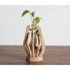 Filtrum Natural Driftwood Accent Vase Objects + Accents
