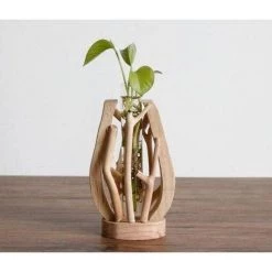 Filtrum Natural Driftwood Accent Vase Objects + Accents