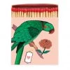 Archivist Gallery Parrot Match Box 2 Archivist Gallery Parrot Match Box